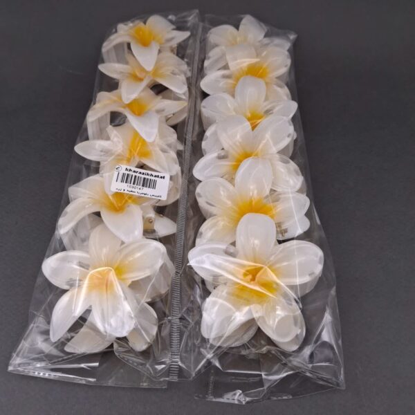 کلیپس پلومریا سفید و زرد بزرگ