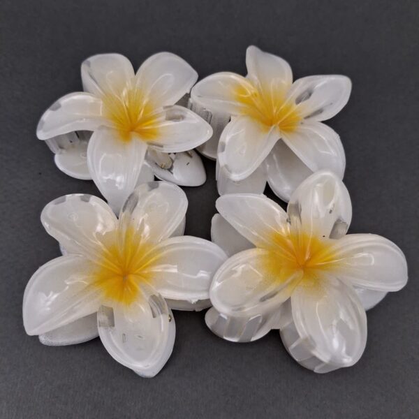 کلیپس پلومریا سفید و زرد بزرگ