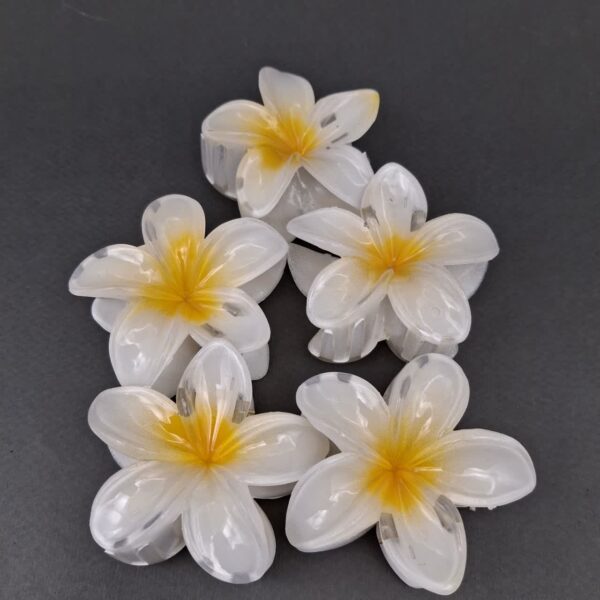 کلیپس پلومریا سفید و زرد بزرگ