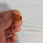 زردچوبه قلم هندی