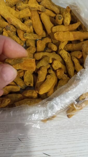 زردچوبه قلم هندی