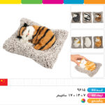 گربه خوابیده موزیکال