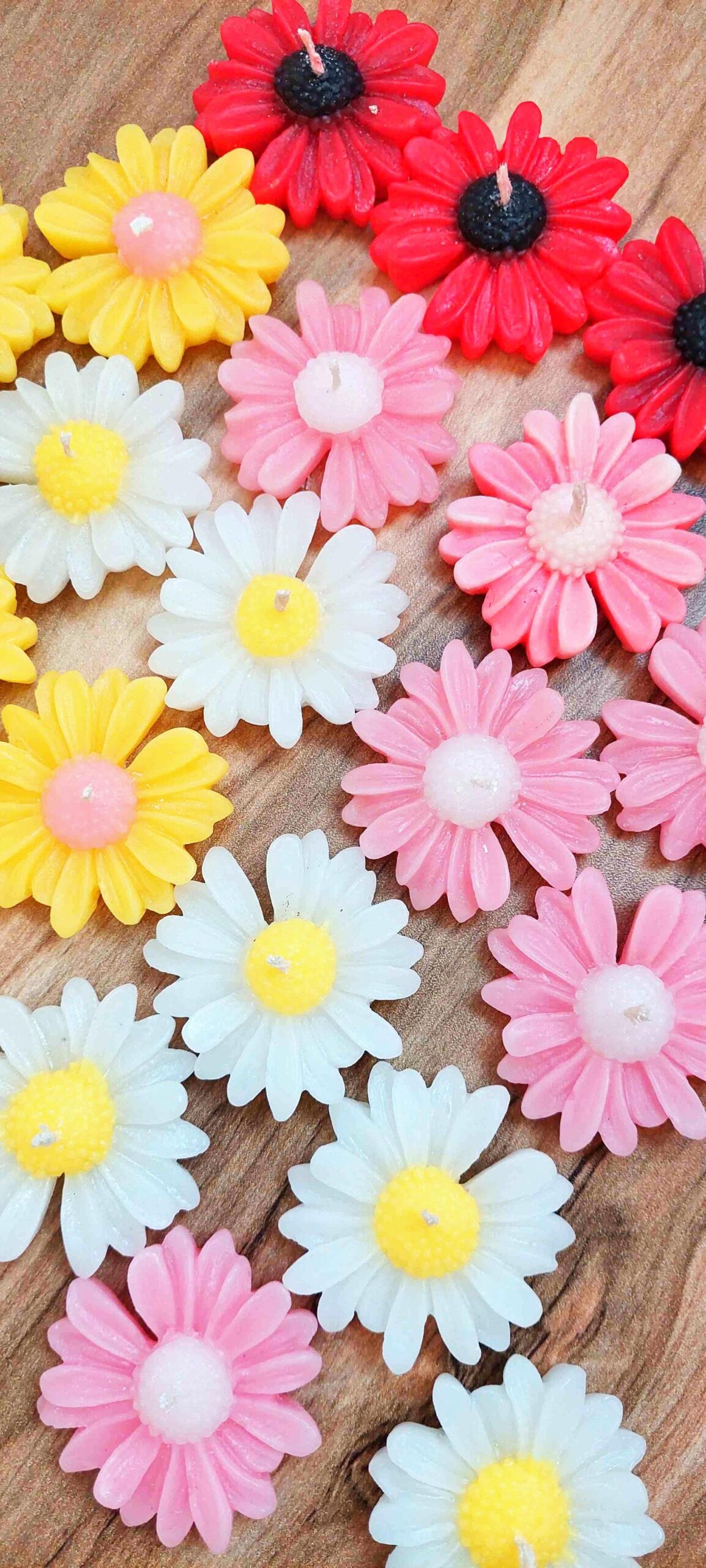 گل بابونه گل بابونه