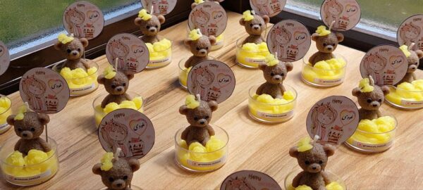 گیفت تولد تدی