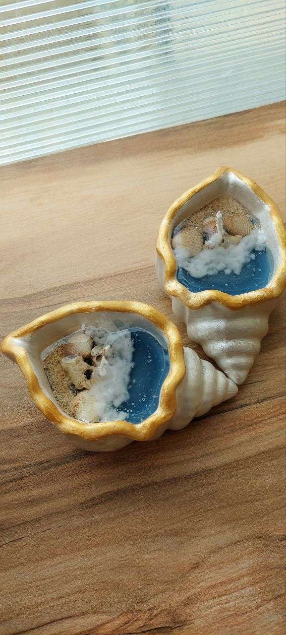 شمع صدفی دریا