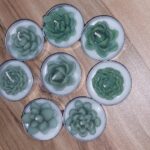 شمع وارمری کاکتوس