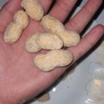 بادام زمینی با غلاف و بدون پوست آستانه