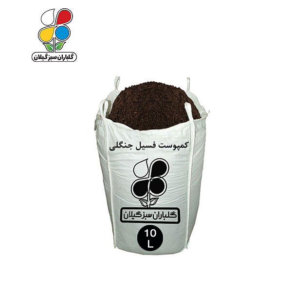 کمپوست فسیل جنگلی