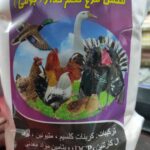 مکمل مرغ تخم گذار بومی