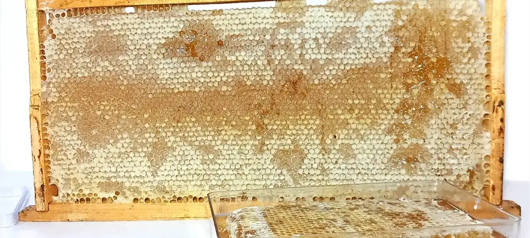 عسل طبیعی