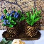 ست کاکتوس و گلدان