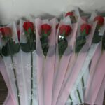 گل تک شاخه ای رز