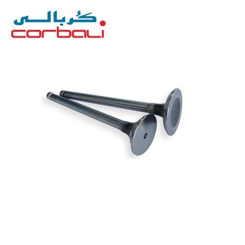 سوپاپ ۴۰۵ سوپاپ ۴۰۵