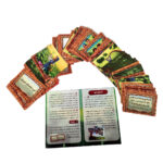 بازی فکری ۱۳ به در