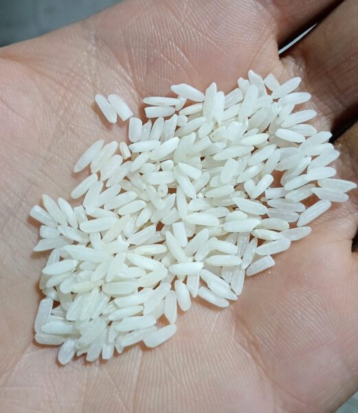 برنج ایرانی فجر خوشپخت