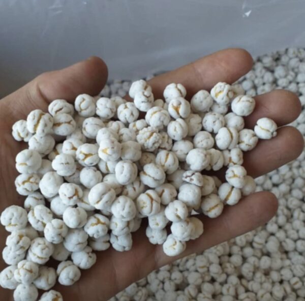 نخود شکلاتی