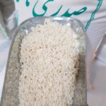 برنج صدری هاشمی