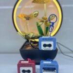 جاکلیدی طرح ضبط