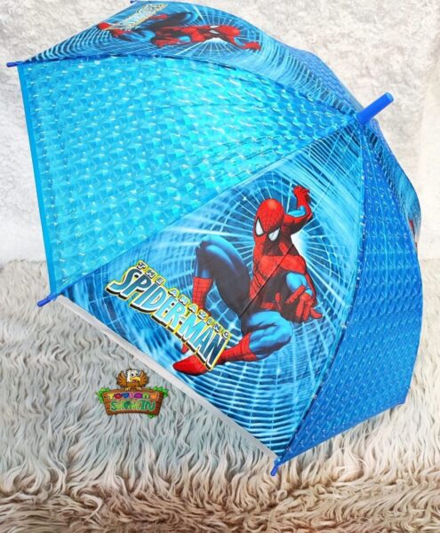 چتربارانی طرح دار