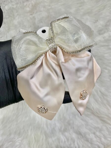 گیره پاپیونی