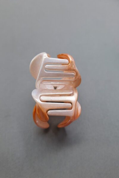 کلیپس پلومریا هلوگرام