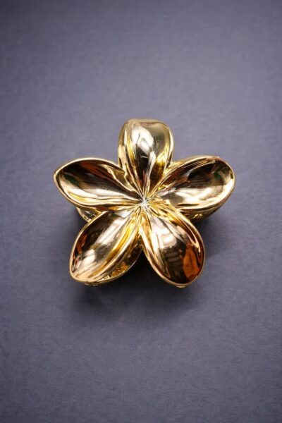 کلیپس پلومریا ۷ رنگ