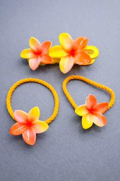 گیره و کش پلومریا ۳۰ تایی