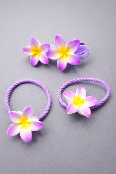 گیره و کش پلومریا ۳۰ تایی