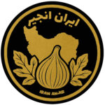 تولید و پخش عمده خشکبار ایران انجیر