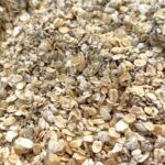 موسلی اوتمیل