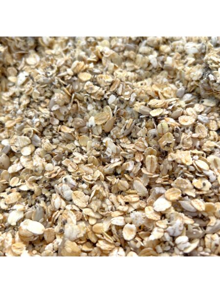 موسلی اوتمیل موسلی اوتمیل