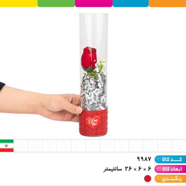 گل لیوانی بگ دار ولنتاین