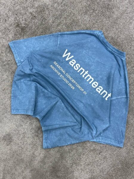 تیشرت سنگشور چاپی مدل WASNTMEANT