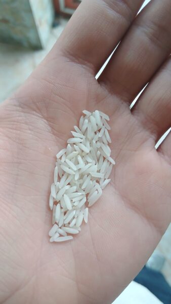 برنج ایرانی فجر سوزنی پخت مجلسی