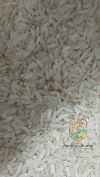 برنج ایرانی طارم فجر محلی خوش پخت
