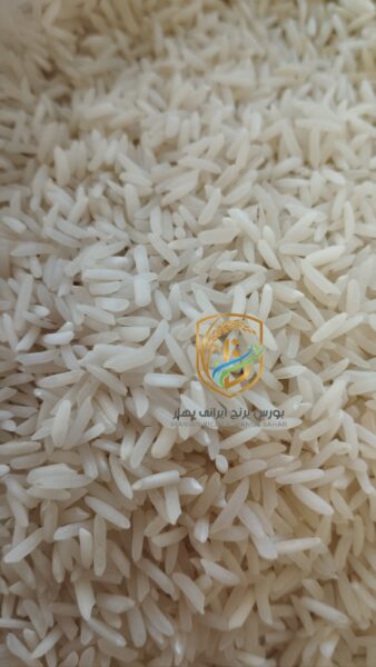 برنج ایرانی فجر سوزنی پخت مجلسی