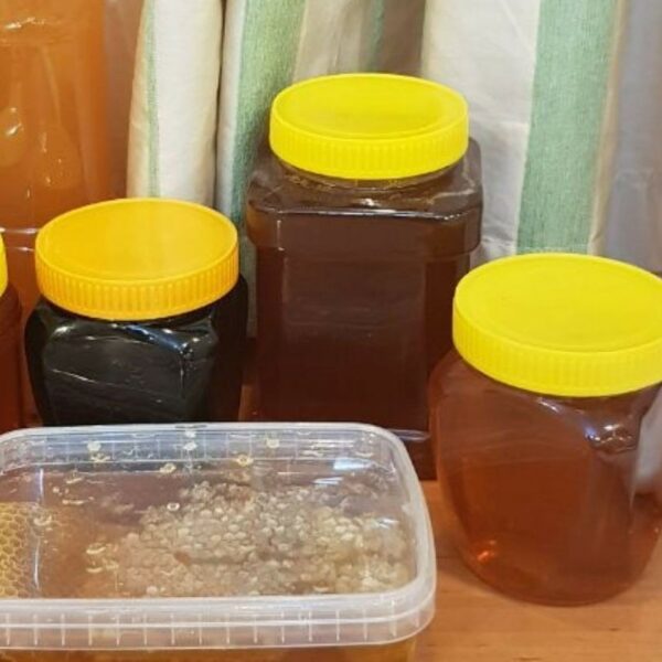 عسل گشنیز همدان