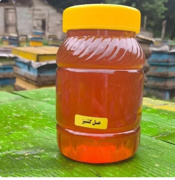 عسل گشنیز همدان