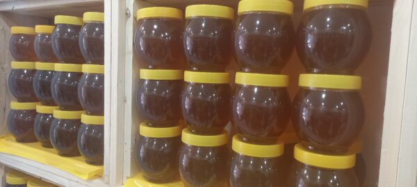 عسل گشنیز همدان