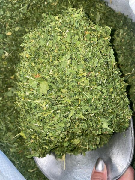 گشنیز برگ