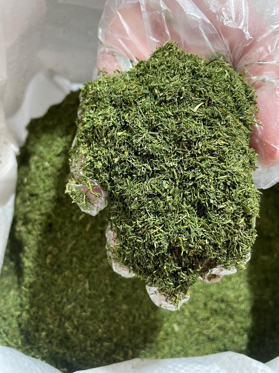 سبزی خشک شوید بلغور