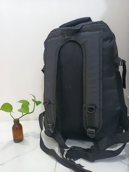 کوله طرح بنلتون
