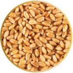 بذر یونجه و بذر گندم