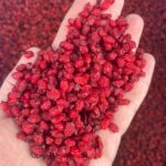 زرشک پفکی