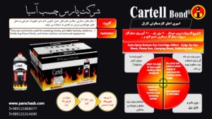 کپسول گاز مسافرتی اجاقی و سرپیک