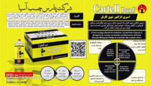 اسپری انژکتور شوی