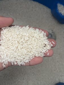 برنج طارم هاشمی