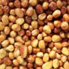 سنجد